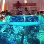 1093758730-Glass-Bottom-Boat-in-Sharm-El-sheikh