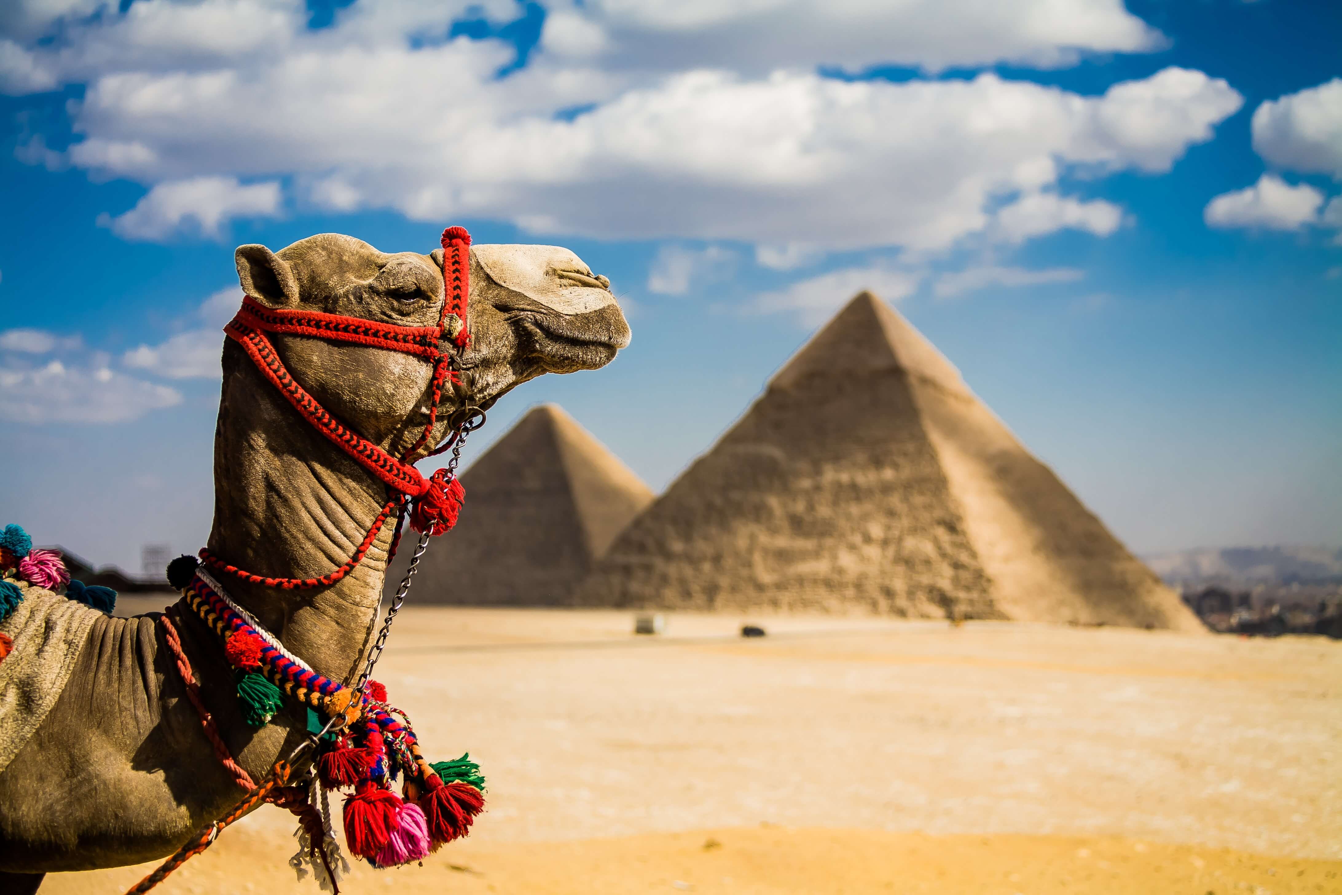 guardian egypt travel